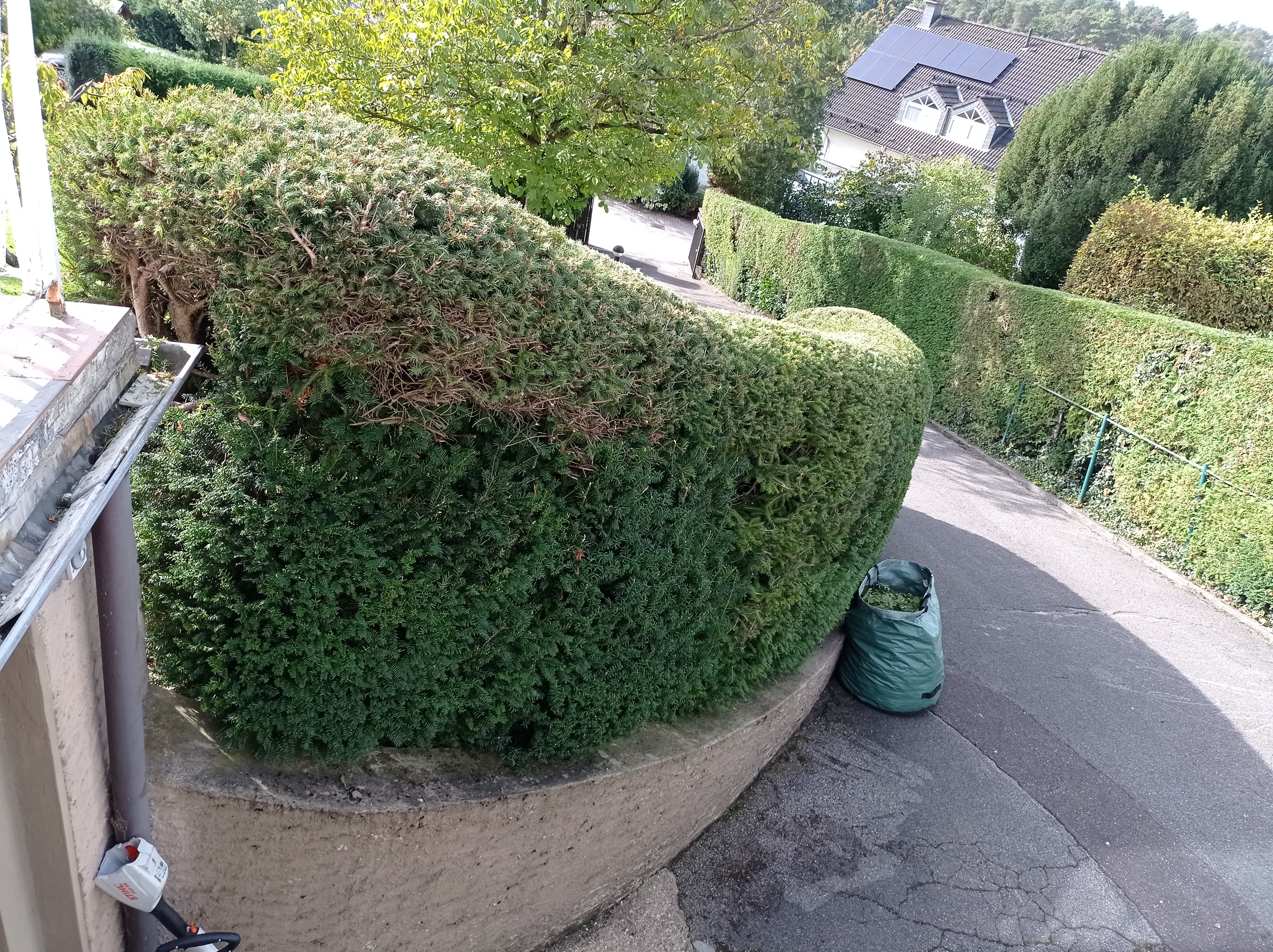 Bild des Teamleiters
