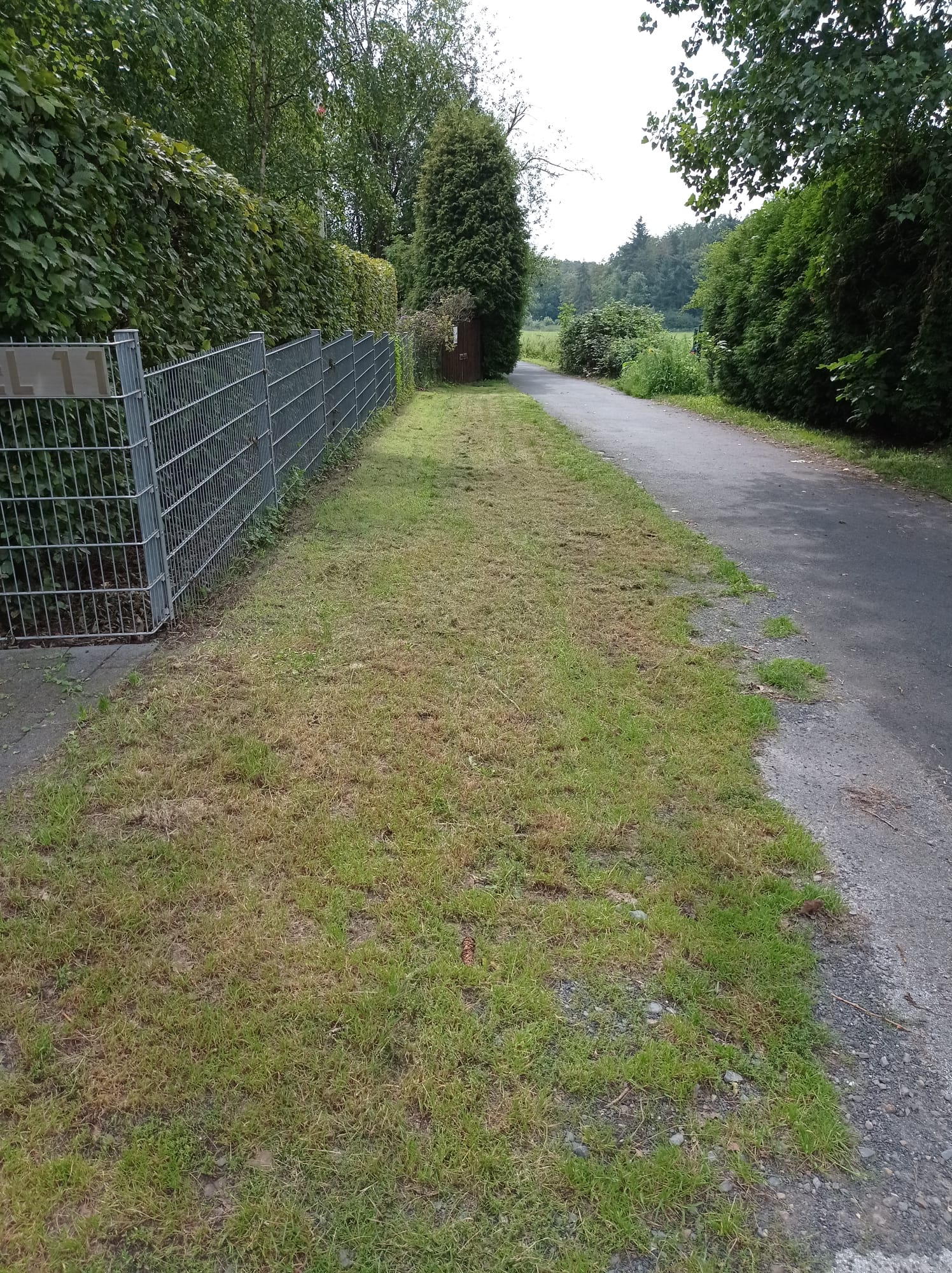 Bild eines Gartens